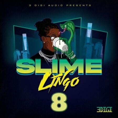 3 Digi Audio Slime Lingo 8 WAV